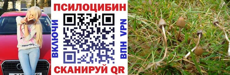 маркетплейс клад  Бузулук  Галлюциногенные грибы Psilocybe  наркота 