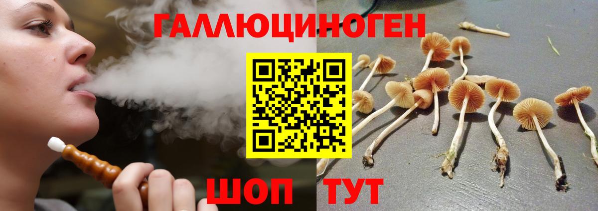 Бузулук  Псилоцибиновые грибы MAGIC MUSHROOMS  Вход с VPN 